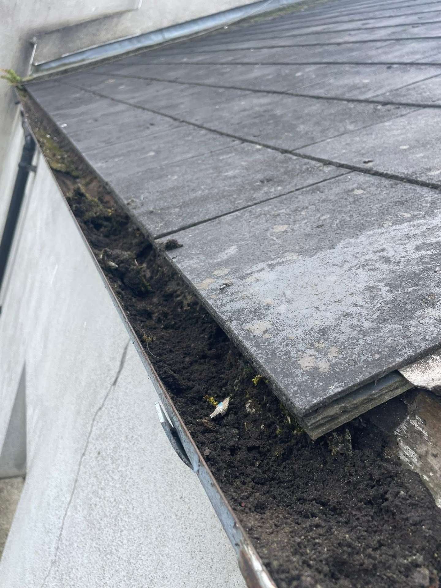 Gutter Cleaning