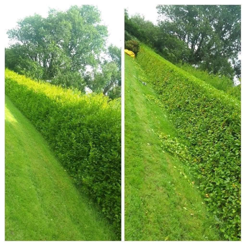 Hedge Work