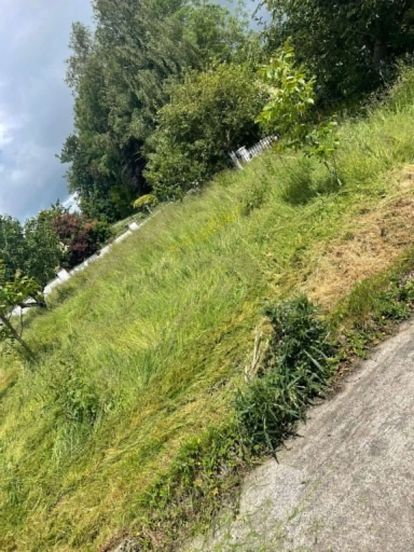 Garden Clearance